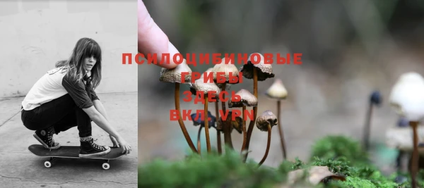 героин Алексин