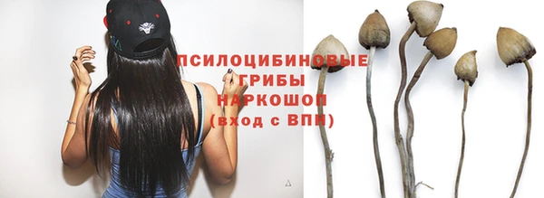 героин Алексин