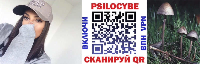 Галлюциногенные грибы MAGIC MUSHROOMS  omg ссылка  Бахчисарай  где можно купить  